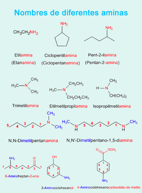 animas